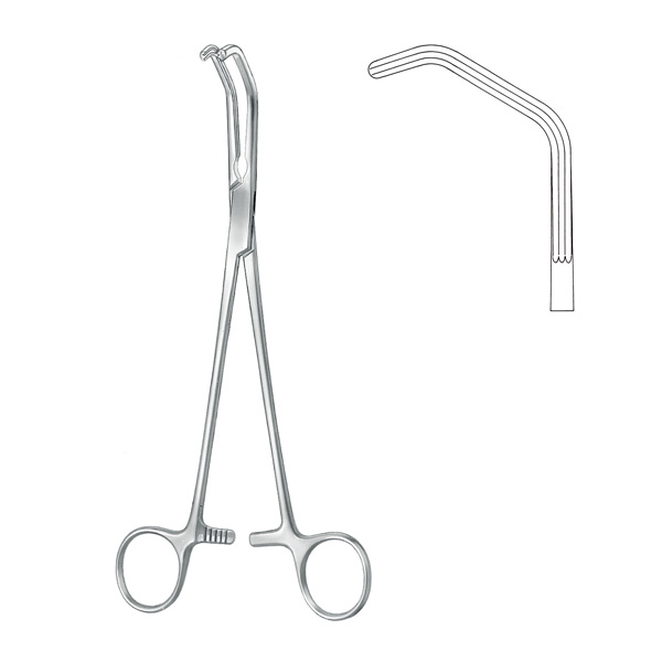 Bronchus Clamps