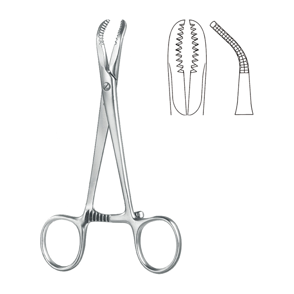 Cartilage Seizing Forceps / Bone Holding Forceps