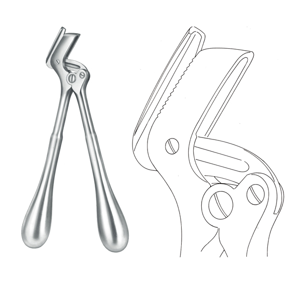 Plaster Shears