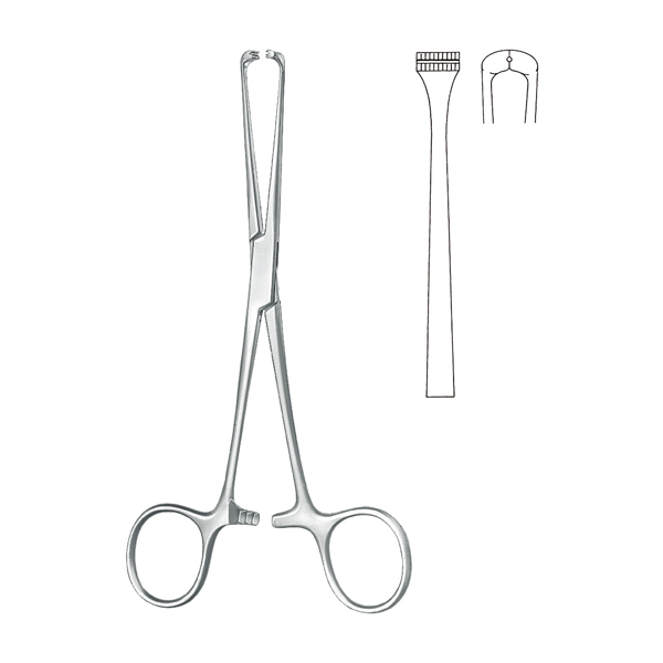 Tendon Holding Forceps