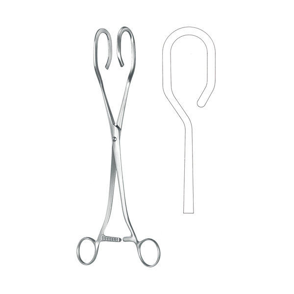 Uterine Seizing Forceps